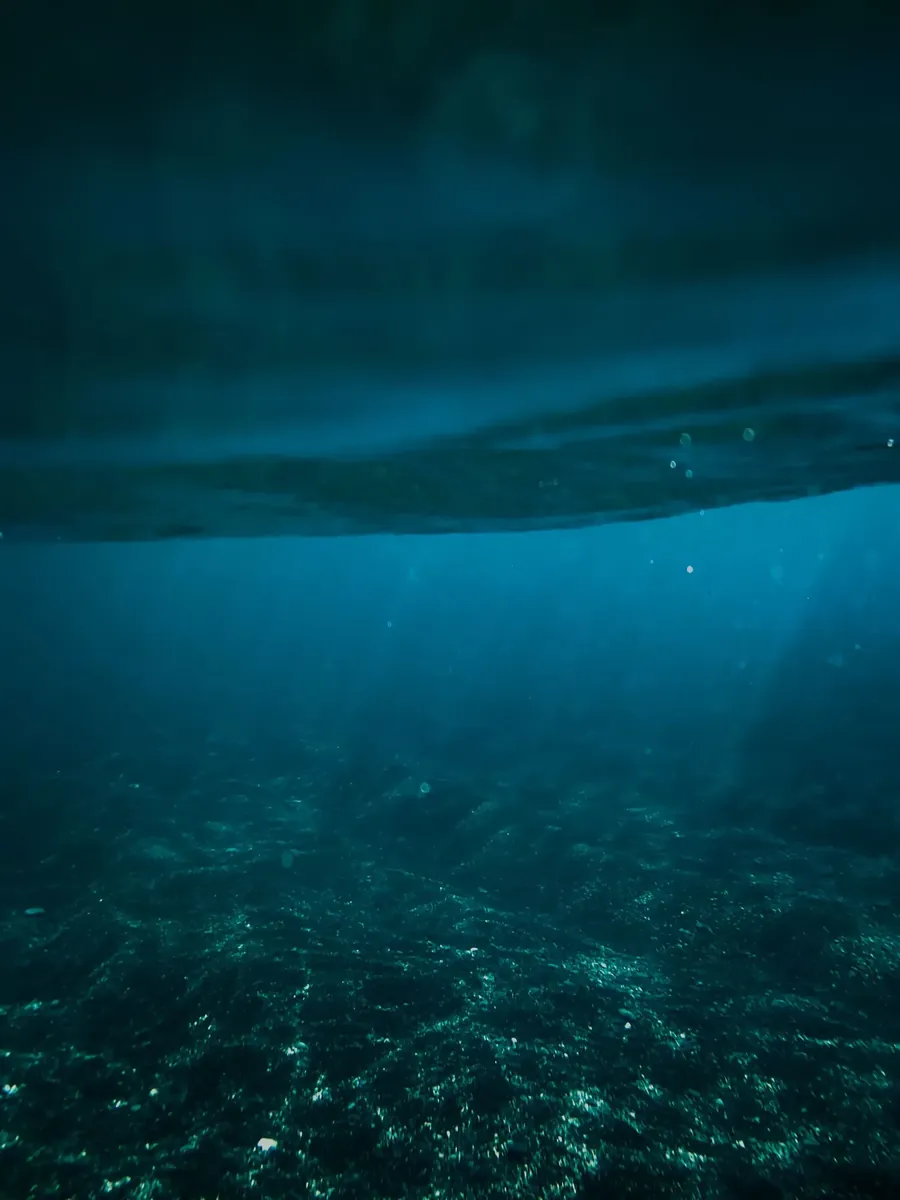 Rayos de luz atravesando el agua sobre un fondo marino gallego